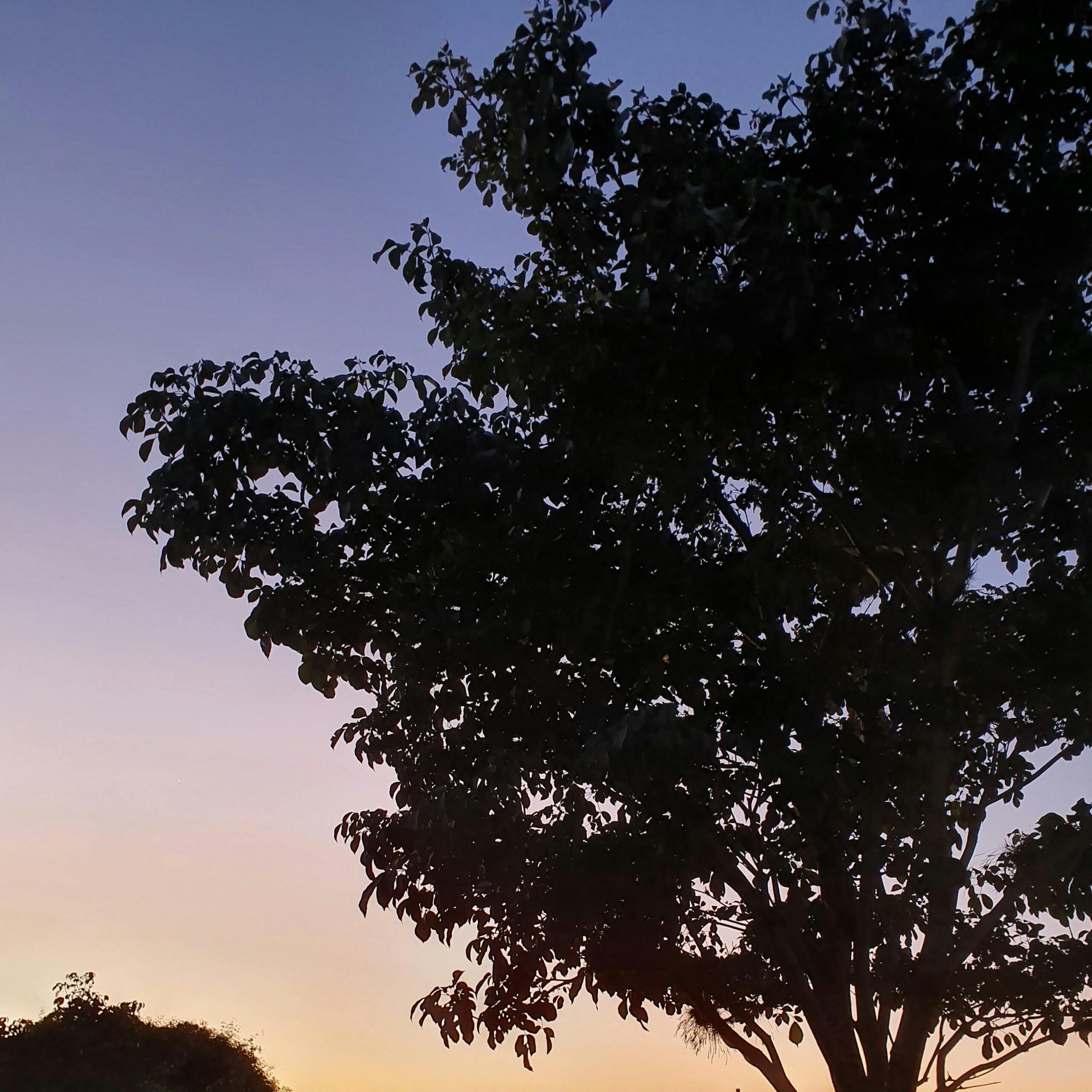 Transform Your Business with Professional Digital Signage Solutions on Long Island